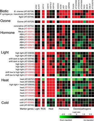 Simultaneous Ozone and High Light Treatments Reveal an Important Role for the Chloroplast in Co-ordination of Defense Signaling